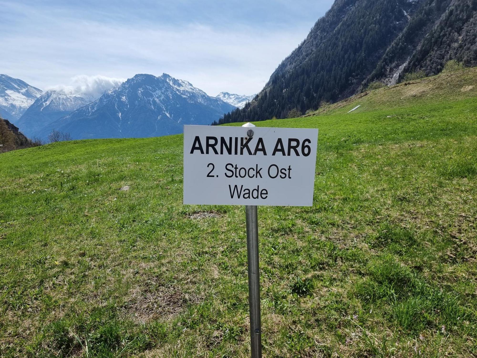 Apartmán Arnika Blatten bei Naters Pokoj fotografie